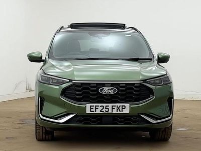 Used Ford Kuga ST-Line X 243 HP (178 kW) 2025 Green SUV