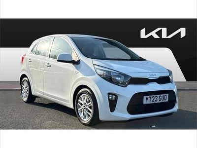 Used Kia Picanto 66 HP (48 kW) 2023 White Hatchback