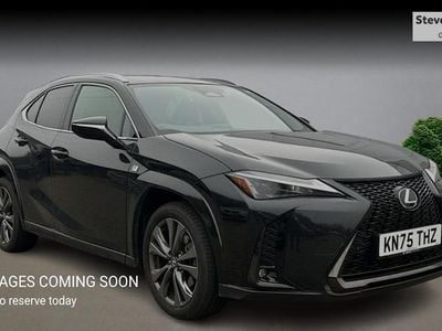 Used Lexus UX 300h Sport Line 199 HP (146 kW) 2026 SUV