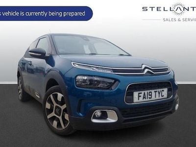 Used Citroën C4 Cactus Flair 120 HP (88 kW) 2020 Hatchback