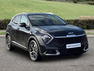 Used Kia Sportage 207 HP (152 kW) 2025 Black SUV