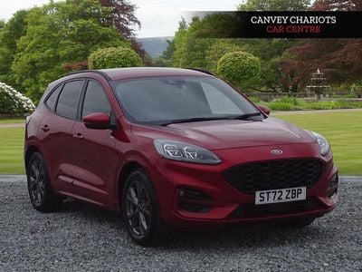 Used Ford Kuga ST-Line 150 HP (110 kW) 2023 Red SUV