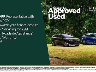 Used Skoda Fabia SE L 113 HP (83 kW) 2025 Grey Hatchback