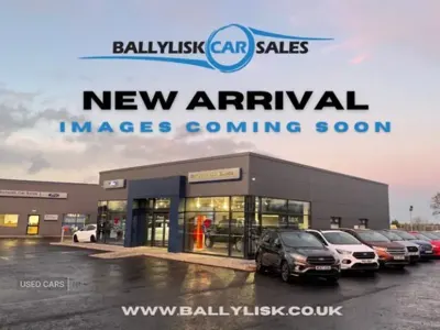 Używany Ford Ecosport Titanium 125 KM (91 kW) 2019 Srebrny SUV