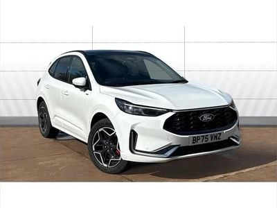 Used Ford Kuga ST-Line X 243 HP (178 kW) 2025 White SUV