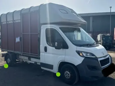 Used Peugeot Boxer 130 HP (95 kW) 2014 White Van