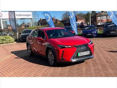 Used Lexus UX 300e 150 kW (204 HP) 2025 Red SUV