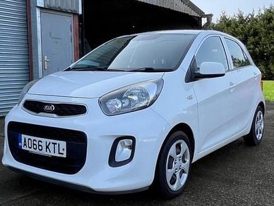 Used Kia Picanto Air 66 HP (48 kW) 2016 White Hatchback