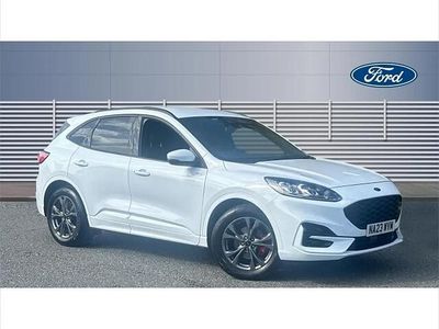 Used Ford Kuga ST-Line 150 HP (110 kW) 2023 White SUV