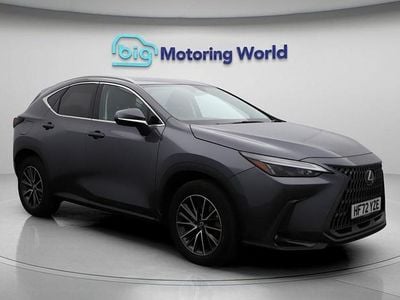 Used Lexus NX450h+ 2022 Grey SUV