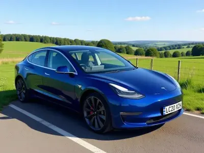 Used Tesla Model 3 Performance 334 kW (455 HP) 2023 Sedan
