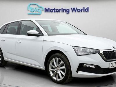 Used Skoda Scala SE L 110 HP (80 kW) 2023 White Hatchback