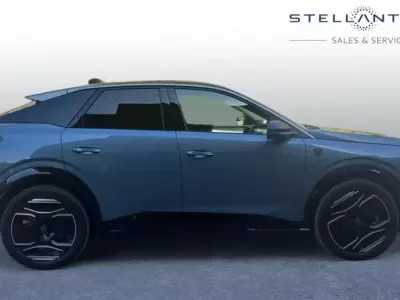 Usado Peugeot e-3008