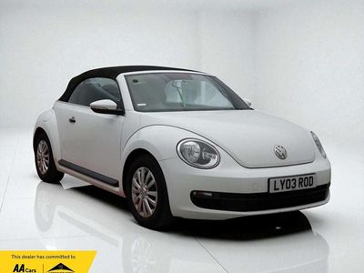 VW Beetle