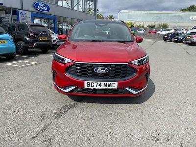 Usado Ford Kuga ST-Line X 180 CV (132 kW) 2024 Rojo SUV