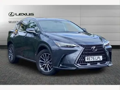 Used Lexus NX350h 243 HP (178 kW) 2025 Grey SUV