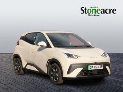 Used BYD Dolphin Comfort 114 kW (156 HP) 2025 White Hatchback