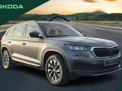 Grey Used 2022 Skoda Kodiaq SE Drive SUV | £24,150 (Good price)