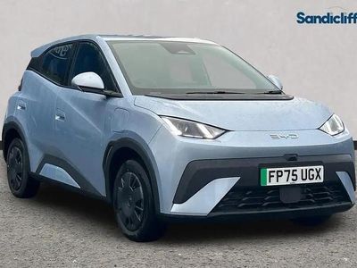 New BYD Dolphin Surf Active 64 kW (88 HP) 2025 Metallic  ice blue Hatchback