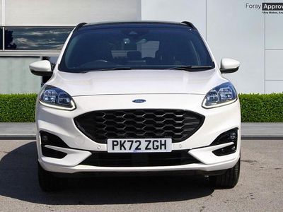 Used Ford Kuga ST-Line X 190 HP (139 kW) 2022 White SUV
