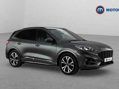 Used Ford Kuga ST-Line X 190 HP (139 kW) 2023 Grey SUV