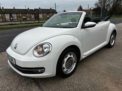 VW Beetle