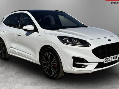 Usado Ford Kuga ST-Line X 190 HP (139 kW) 2023 SUV