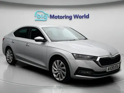 Used Skoda Octavia SE L First Edition 148 HP (108 kW) 2020