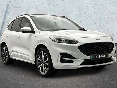 Used Ford Kuga ST-Line X 187 HP (137 kW) 2022 White SUV