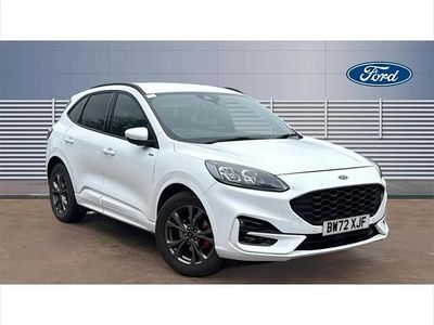 Used Ford Kuga ST-Line 150 HP (110 kW) 2023 White SUV