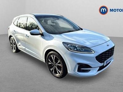 Used Ford Kuga ST-Line X 190 HP (139 kW) 2023 White SUV