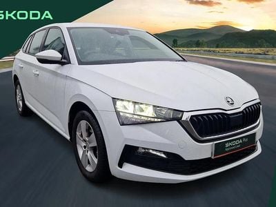 Used Skoda Scala SE 147 HP (108 kW) 2023 White Hatchback