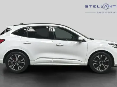 Used Ford Kuga ST-Line X 187 HP (137 kW) 2023 White SUV