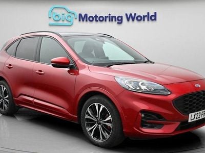 Used Ford Kuga ST-Line X 150 HP (110 kW) 2023 Red SUV