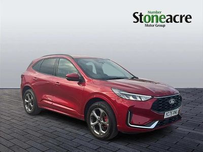 Used Ford Kuga ST-Line 239 HP (175 kW) 2025 Red SUV