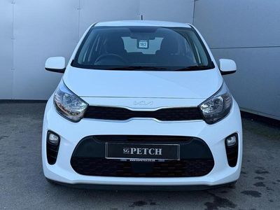 Used Kia Picanto 66 HP (48 kW) 2023 White Hatchback