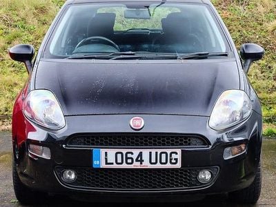 Used Fiat Punto Easy 69 HP (50 kW) 2014 Crossover black Hatchback