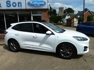 Used Ford Kuga ST-Line 120 HP (88 kW) 2022 White SUV