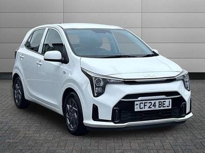 Used Kia Picanto 61 HP (44 kW) 2024 White Hatchback