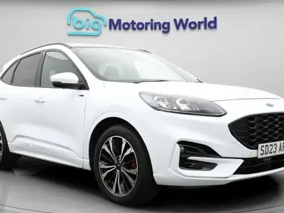 Used Ford Kuga ST-Line X 150 HP (110 kW) 2023 White SUV