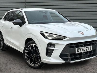 Used Cupra Terramar VZ2 265 HP (194 kW) 2026 SUV