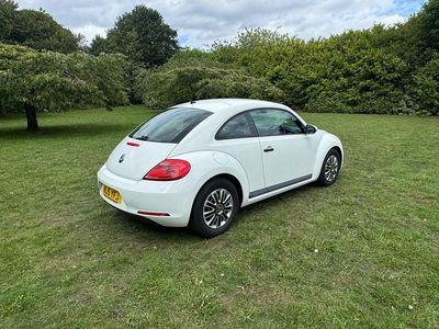 VW Beetle