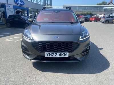 Usado Ford Kuga ST-Line X 2022 Gris SUV