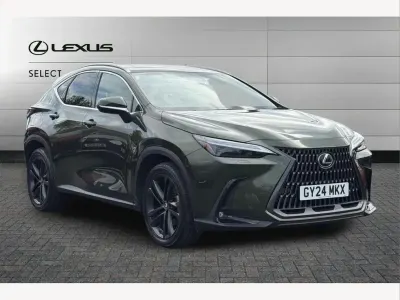 Used Lexus NX450h+ 306 HP (225 kW) 2024 Green SUV