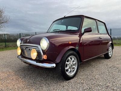 Burgandy Used 1999 Rover Mini | £14,999
