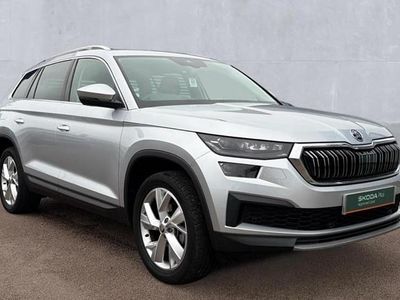 Used Skoda Kodiaq SE L Executive 150 HP (110 kW) 2024 Silver SUV