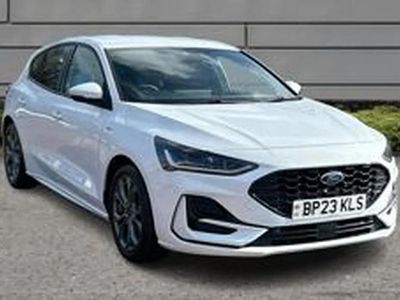 Used Ford Focus ST-Line 123 HP (90 kW) 2023 White Hatchback