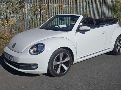 VW Beetle