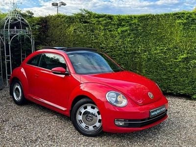 VW Beetle