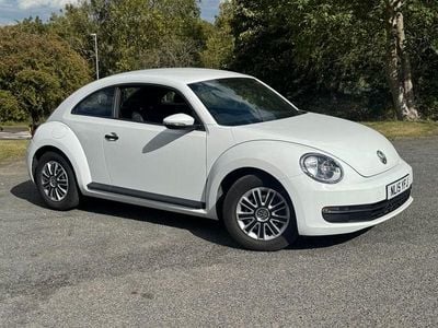 VW Beetle